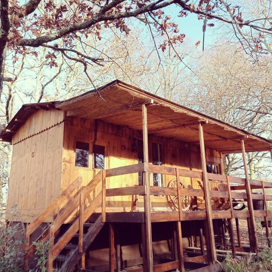 Bed and Breakfast Le Ranch Amadeus Saint-Paul-en-Born Exterior foto